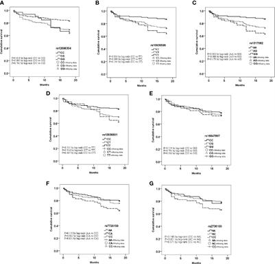 Prognostic Association of TERC, TERT Gene Polymorphism, and Leukocyte Telomere Length in Acute Heart Failure: A Prospective Study